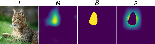 Figure 3 for A generalizable saliency map-based interpretation of model outcome