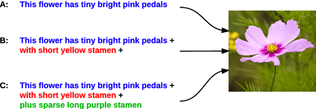 Figure 1 for Generating Image Sequence from Description with LSTM Conditional GAN
