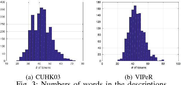 Figure 2 for Person Re-Identification with Vision and Language