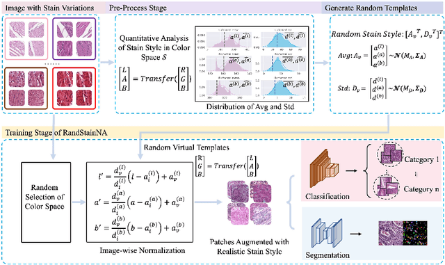 Figure 3 for RandStainNA: Learning Stain-Agnostic Features from Histology Slides by Bridging Stain Augmentation and Normalization