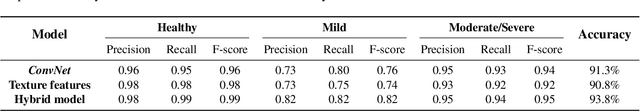 Figure 2 for Severity classification in cases of Collagen VI-related myopathy with Convolutional Neural Networks and handcrafted texture features