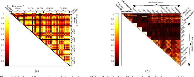 Figure 2 for Prognostic Power of Texture Based Morphological Operations in a Radiomics Study for Lung Cancer