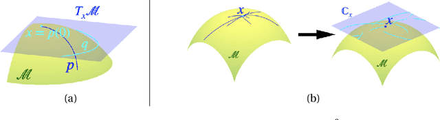 Figure 3 for Amplitude Mean of Functional Data on $\mathbb{S}^2$