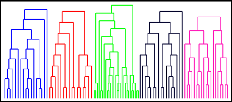 Figure 3 for Tracking Cells and their Lineages via Labeled Random Finite Sets
