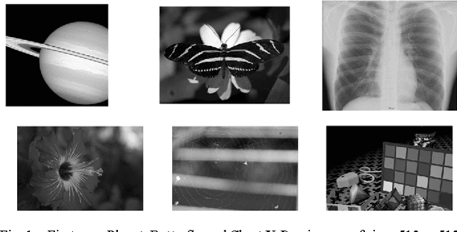 Figure 1 for Hierarchized block wise image approximation by greedy pursuit strategies