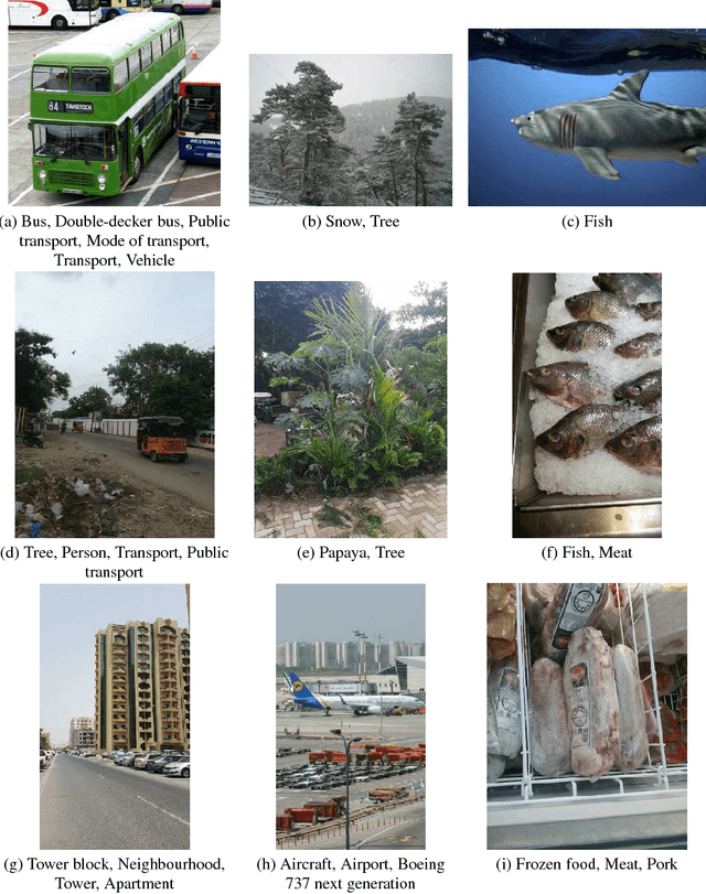 Figure 1 for Adapting Convolutional Neural Networks for Geographical Domain Shift