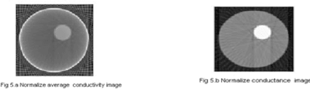 Figure 3 for Implementation of Radon Transformation for Electrical Impedance Tomography (EIT)