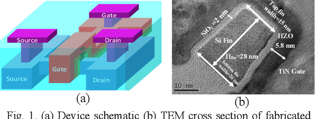Figure 1 for Alleviation of Temperature Variation Induced Accuracy Degradation in Ferroelectric FinFET Based Neural Network