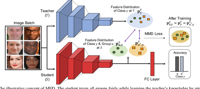Figure 3 for Fair Feature Distillation for Visual Recognition