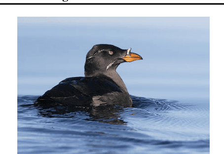 Figure 2 for A Topological-Framework to Improve Analysis of Machine Learning Model Performance