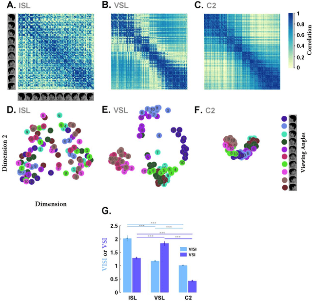 Figure 2 for A specialized face-processing network consistent with the representational geometry of monkey face patches