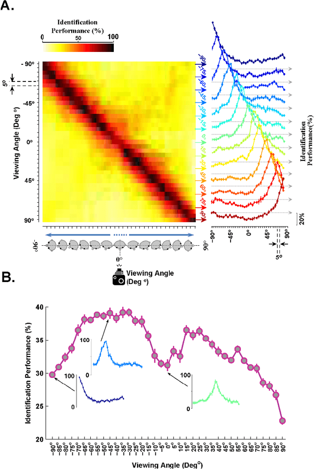 Figure 4 for A specialized face-processing network consistent with the representational geometry of monkey face patches