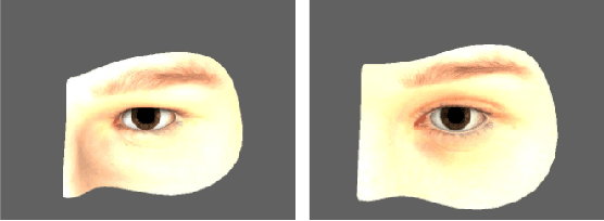 Figure 2 for DeepMetis: Augmenting a Deep Learning Test Set to Increase its Mutation Score