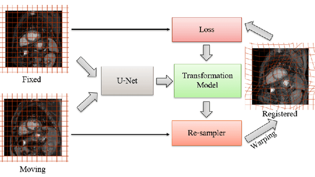 Figure 1 for Deep-Learning based Motion Correction for Myocardial T1 Mapping