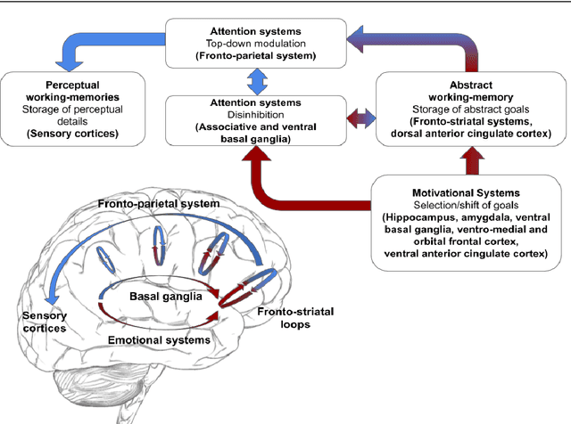 Figure 1 for Representation Internal-Manipulation (RIM): A Neuro-Inspired Computational Theory of Consciousness