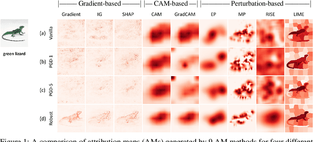 Figure 1 for How explainable are adversarially-robust CNNs?