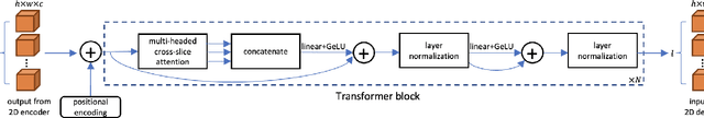 Figure 1 for CAT-Net: A Cross-Slice Attention Transformer Model for Prostate Zonal Segmentation in MRI