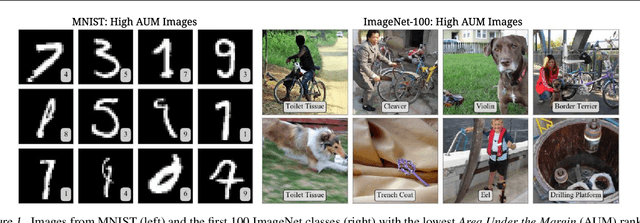Figure 1 for Identifying Mislabeled Data using the Area Under the Margin Ranking