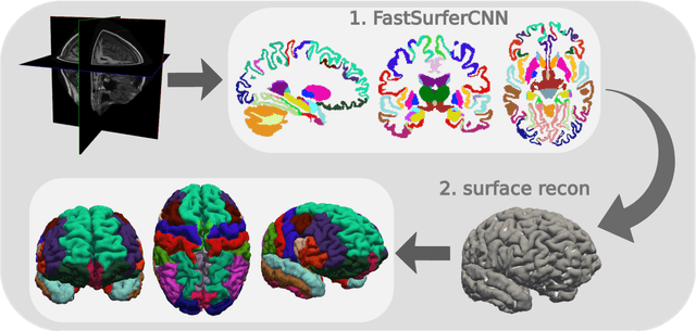 Figure 1 for FastSurfer -- A fast and accurate deep learning based neuroimaging pipeline