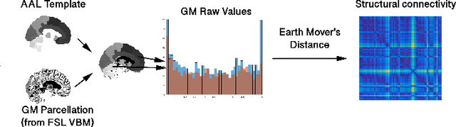 Figure 1 for Single-participant structural connectivity matrices lead to greater accuracy in classification of participants than function in autism in MRI