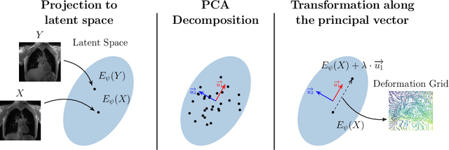 Figure 1 for Exploring Deep Registration Latent Spaces