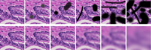 Figure 4 for Recommendations on test datasets for evaluating AI solutions in pathology