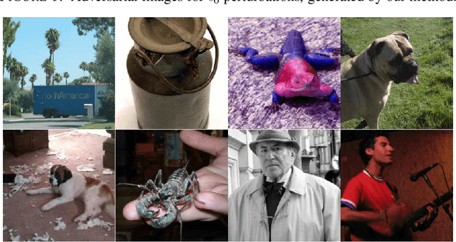 Figure 3 for A principled approach for generating adversarial images under non-smooth dissimilarity metrics