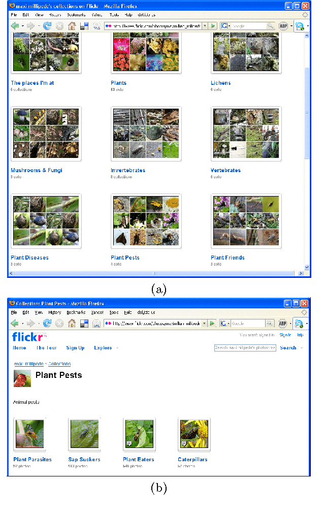 Figure 1 for Constructing Folksonomies from User-specified Relations on Flickr