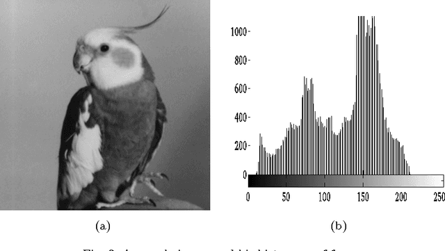 Figure 2 for Application of the Ring Theory in the Segmentation of Digital Images