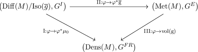 Figure 3 for Integrated Construction of Multimodal Atlases with Structural Connectomes in the Space of Riemannian Metrics