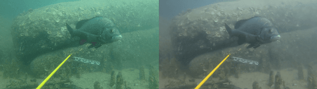 Figure 1 for Underwater Image Enhancement Using Pre-trained Transformer