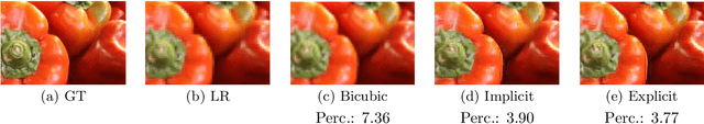 Figure 1 for Image Super-Resolution using Explicit Perceptual Loss