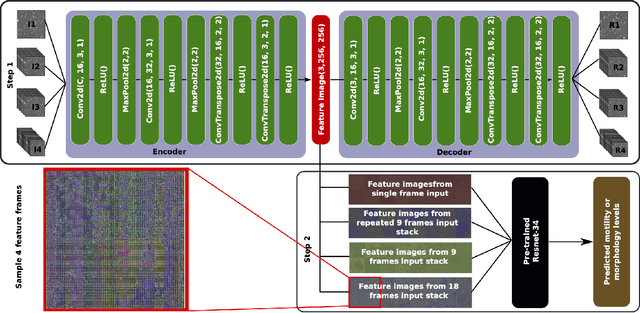 Figure 1 for Extracting temporal features into a spatial domain using autoencoders for sperm video analysis