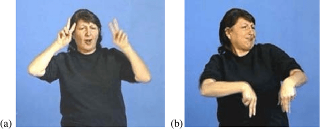 Figure 1 for A concrete example of inclusive design: deaf-oriented accessibility