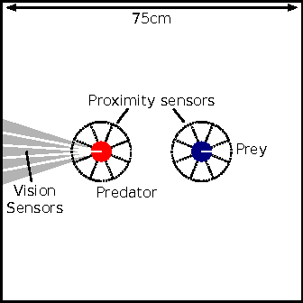 Figure 1 for Novelty Search in Competitive Coevolution