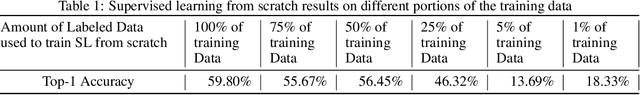 Figure 2 for Hybrid BYOL-ViT: Efficient approach to deal with small datasets