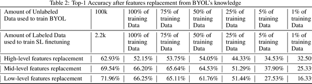 Figure 4 for Hybrid BYOL-ViT: Efficient approach to deal with small datasets