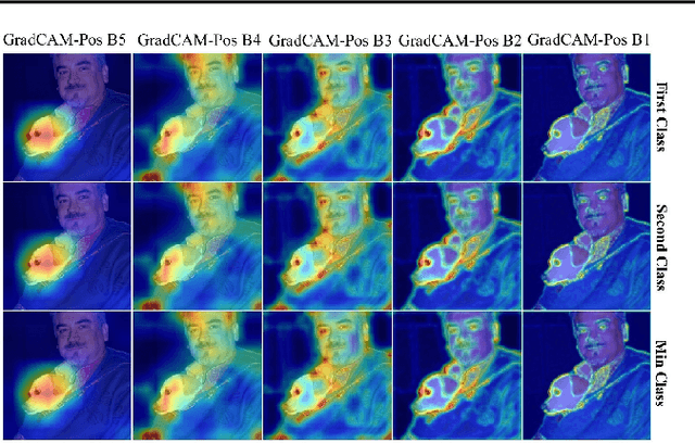Figure 3 for Rethinking Positive Aggregation and Propagation of Gradients in Gradient-based Saliency Methods