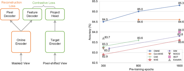 Figure 1 for Contrastive Masked Autoencoders are Stronger Vision Learners