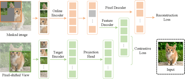 Figure 4 for Contrastive Masked Autoencoders are Stronger Vision Learners