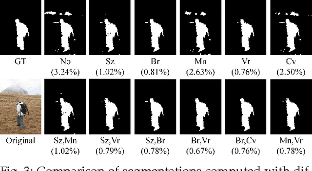 Figure 4 for Efficient Energy Minimization for Enforcing Statistics