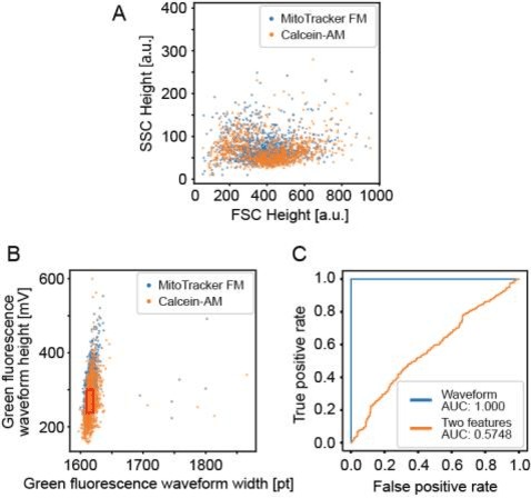 Figure 3 for Use of Ghost Cytometry to Differentiate Cells with Similar Gross Morphologic Characteristics