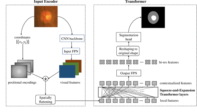 Figure 1 for Medical Image Segmentation Using Squeeze-and-Expansion Transformers