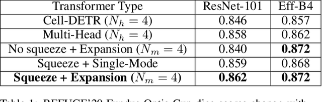 Figure 2 for Medical Image Segmentation Using Squeeze-and-Expansion Transformers