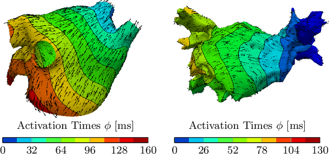 Figure 3 for Learning atrial fiber orientations and conductivity tensors from intracardiac maps using physics-informed neural networks