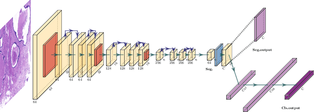 Figure 1 for Learning to segment images with classification labels