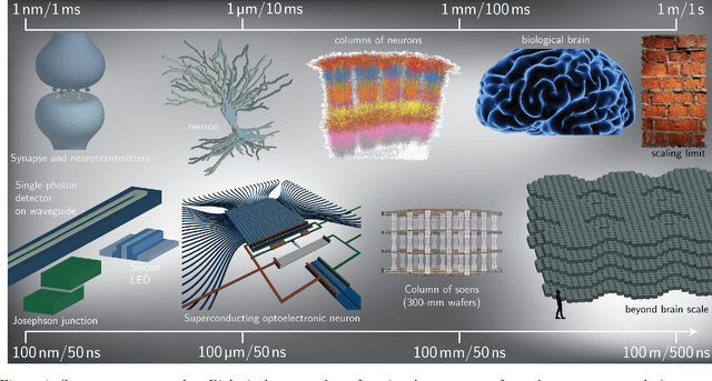 Figure 1 for Optoelectronic Intelligence