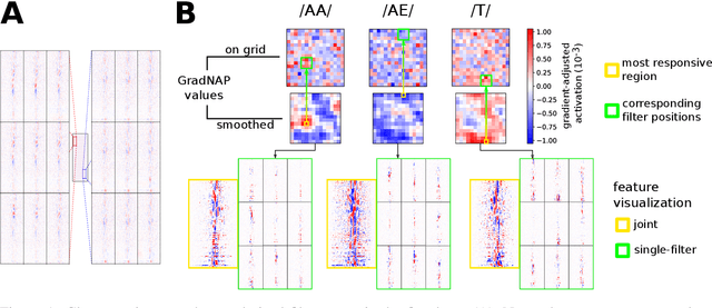 Figure 1 for Visualizing Deep Neural Networks for Speech Recognition with Learned Topographic Filter Maps