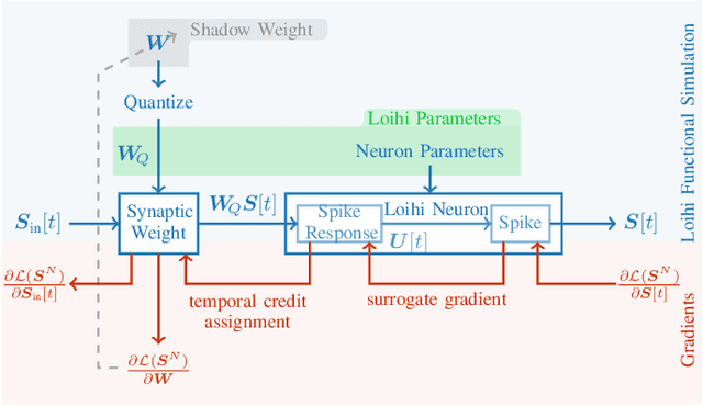 Figure 2 for Online Few-shot Gesture Learning on a Neuromorphic Processor
