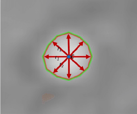 Figure 1 for Implicit Tubular Surface Generation Guided by Centerline